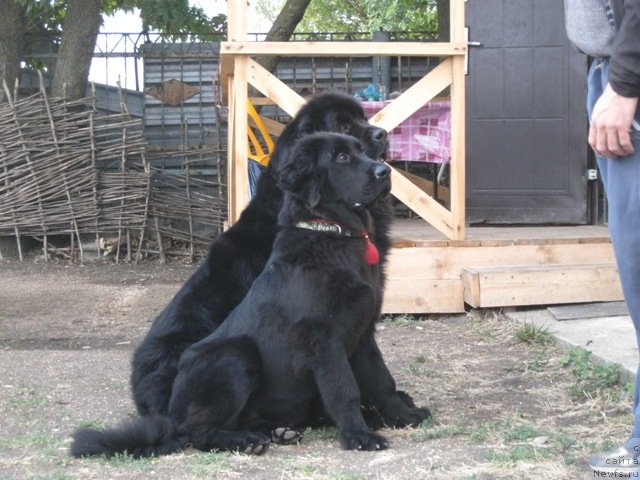 Фотография № 136789