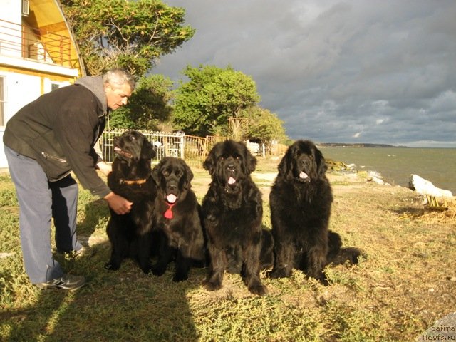 Фотография № 136790