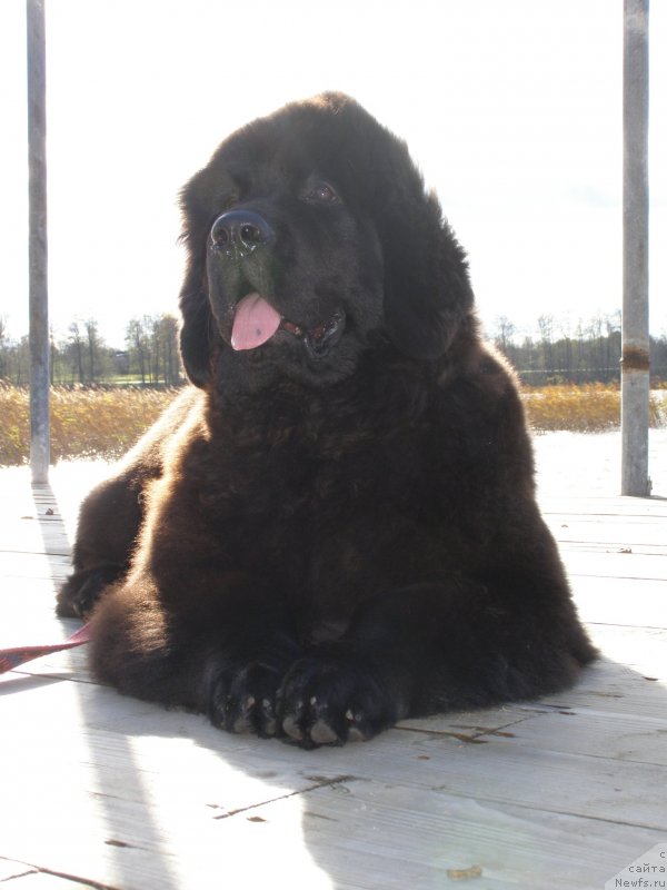 Фотография № 136845