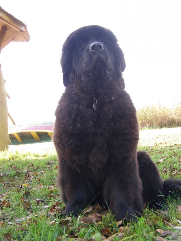 Фотография № 136849