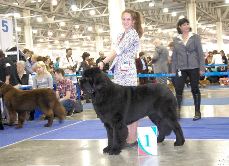 Фотография № 136859