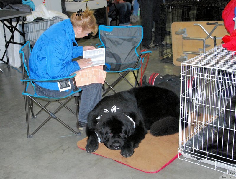 Фотография № 136860