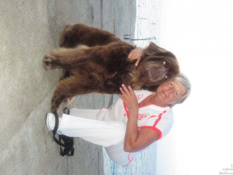 Фотография № 136864