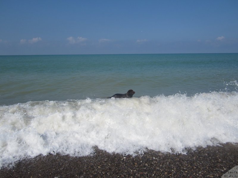 Фотография № 136869