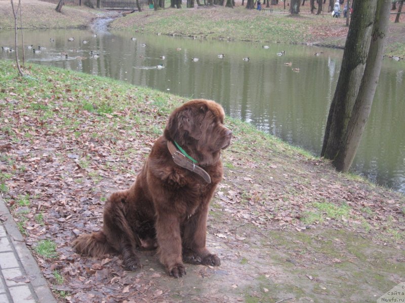 Фотография № 136883