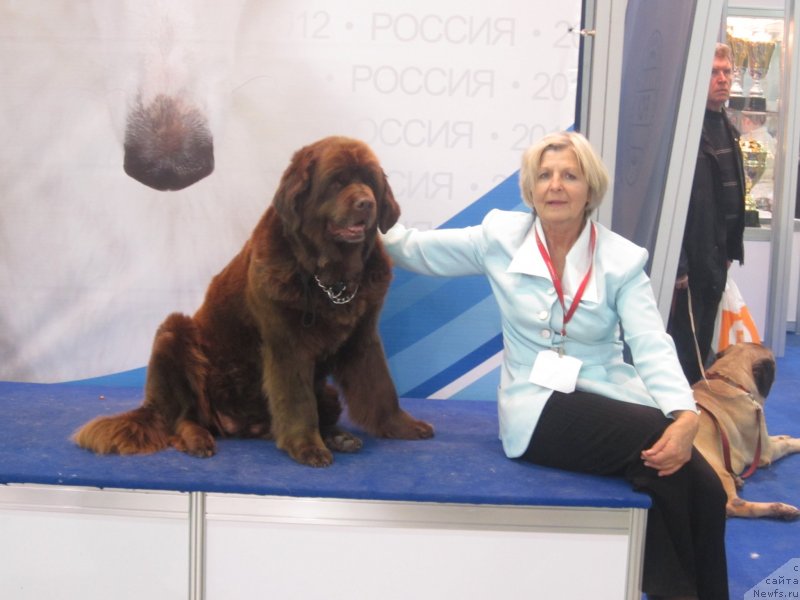 Фотография № 136891