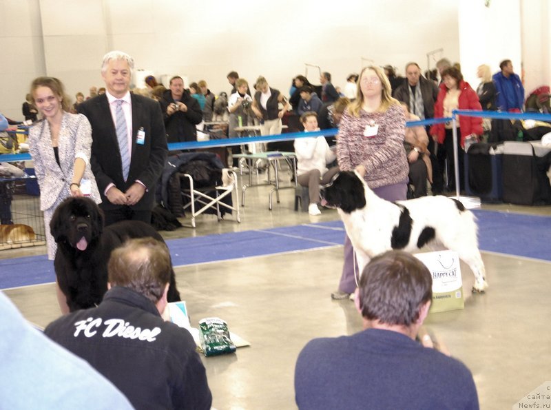 Фотография № 136895