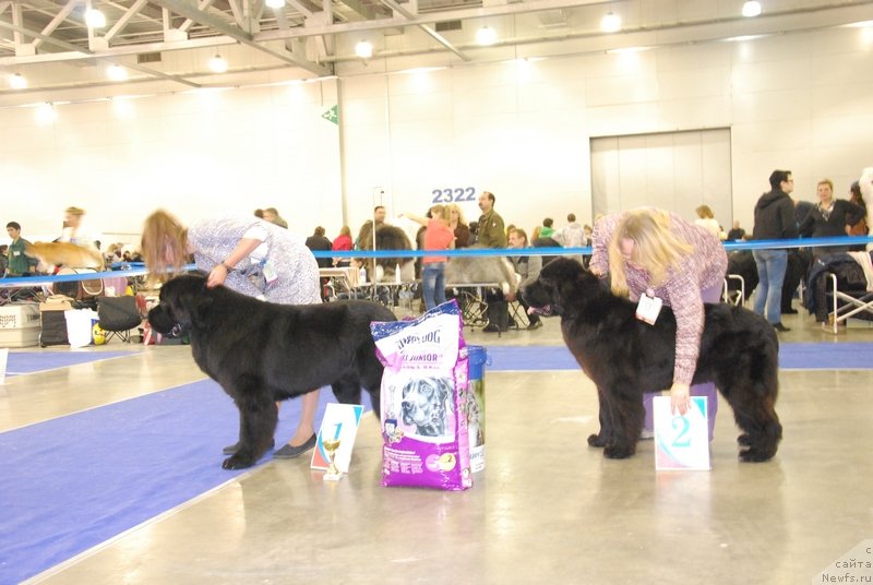 Фотография № 136897