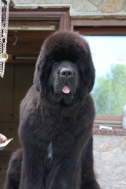 Фотография № 136925