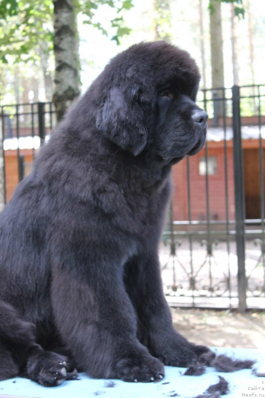 Фотография № 136927