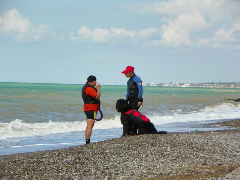 Фотография № 136946