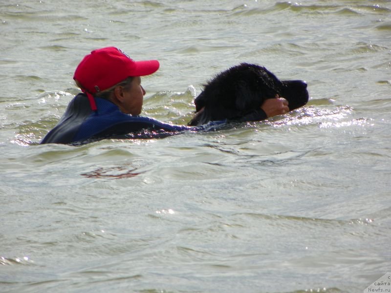 Фотография № 136948