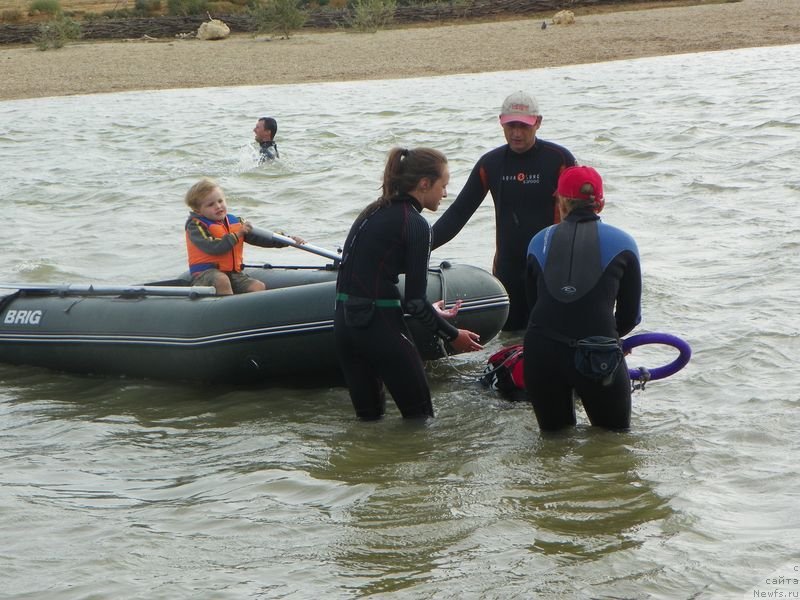 Фотография № 136950