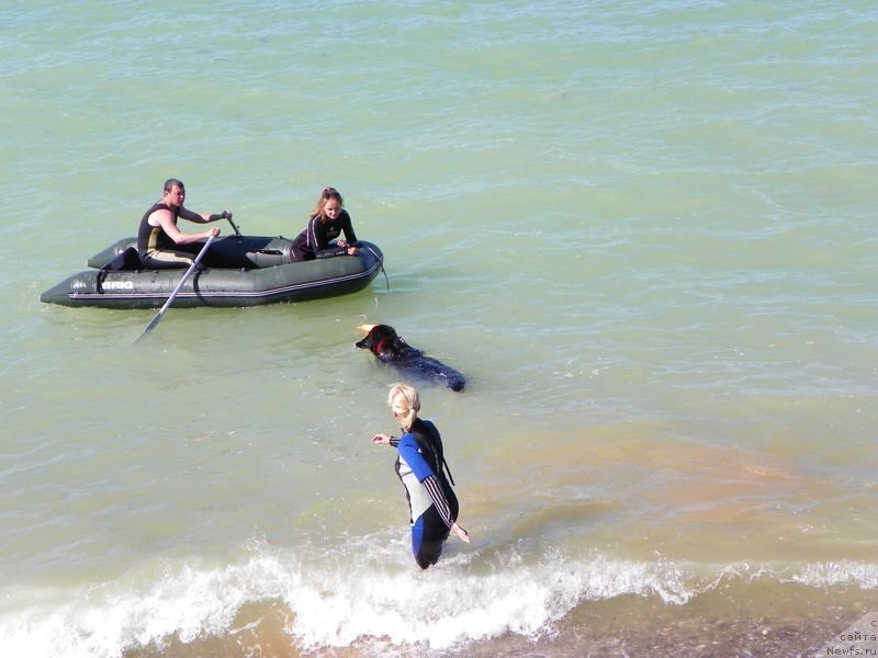 Фотография № 136953