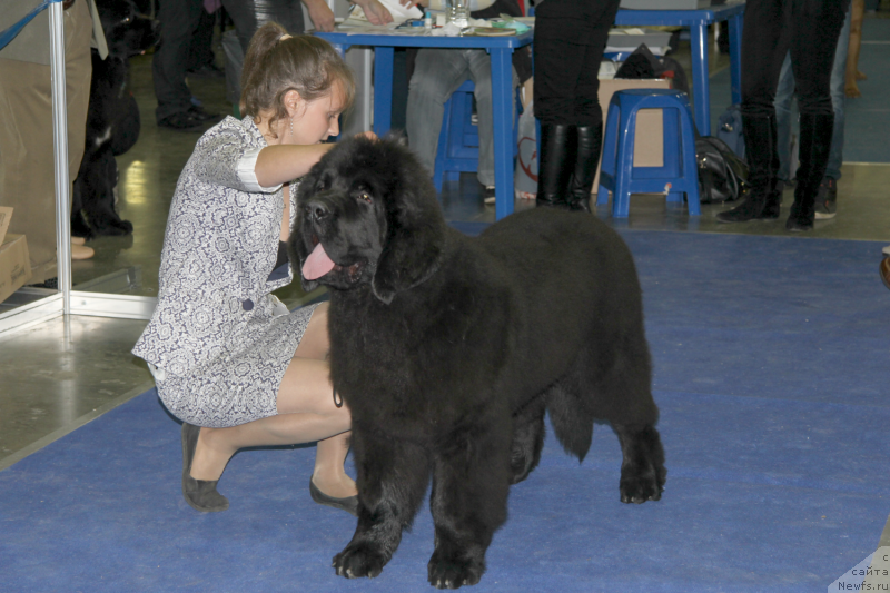 Фотография № 136958