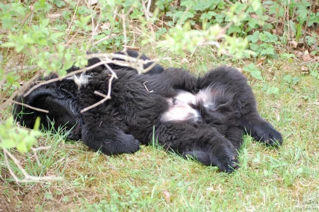 Фотография № 13697