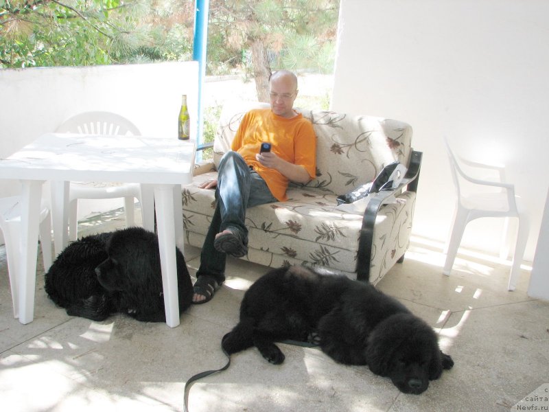 Фотография № 136972