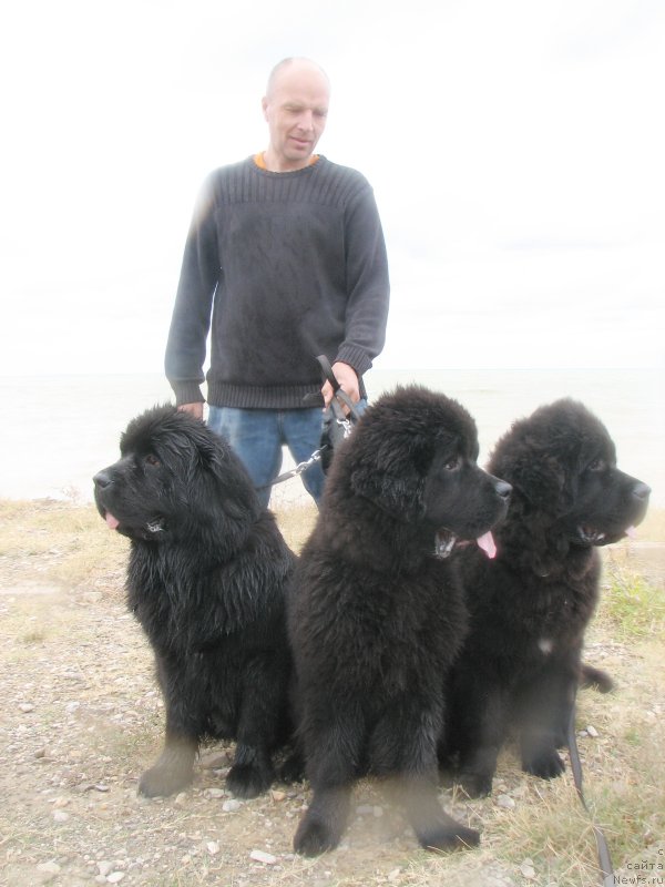 Фотография № 136973