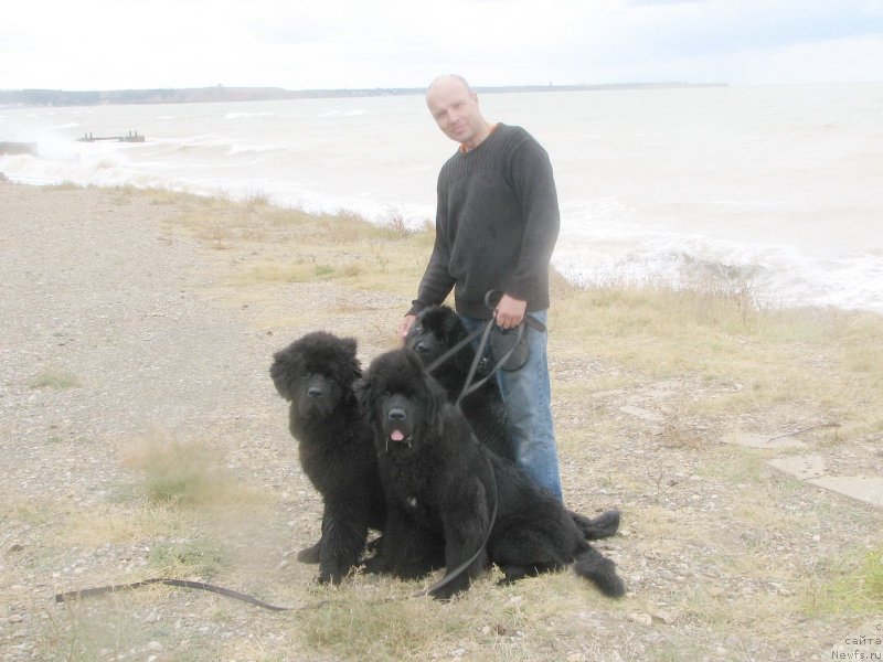 Фотография № 136974