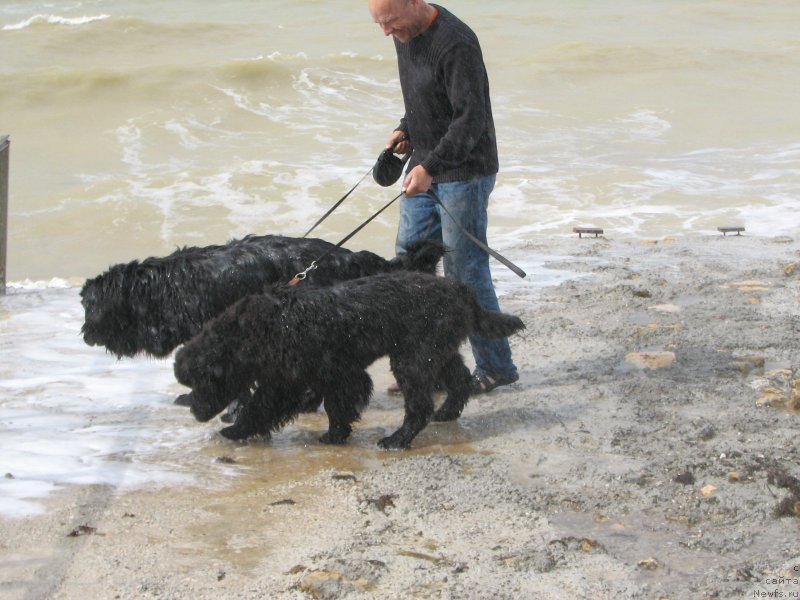 Фотография № 136975