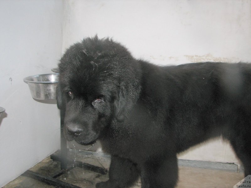 Фотография № 136978