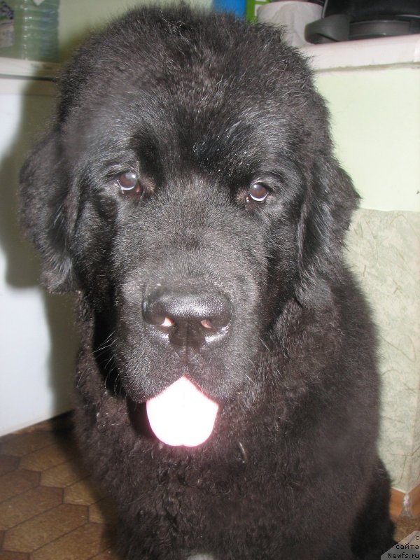 Фотография № 136991