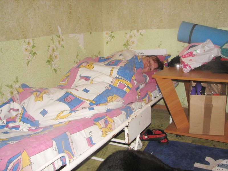 Фотография № 136996