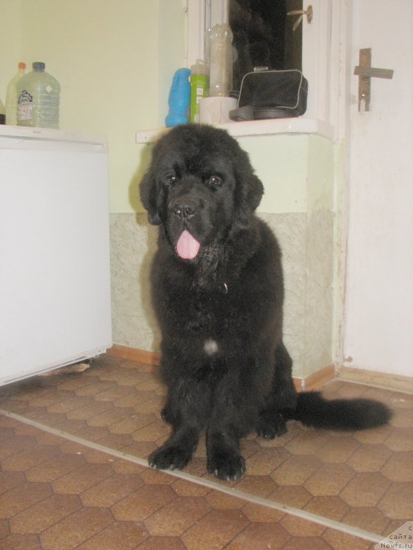 Фотография № 136998