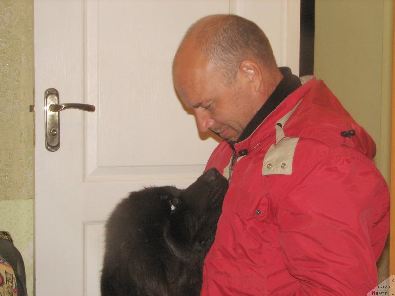 Фотография № 137000