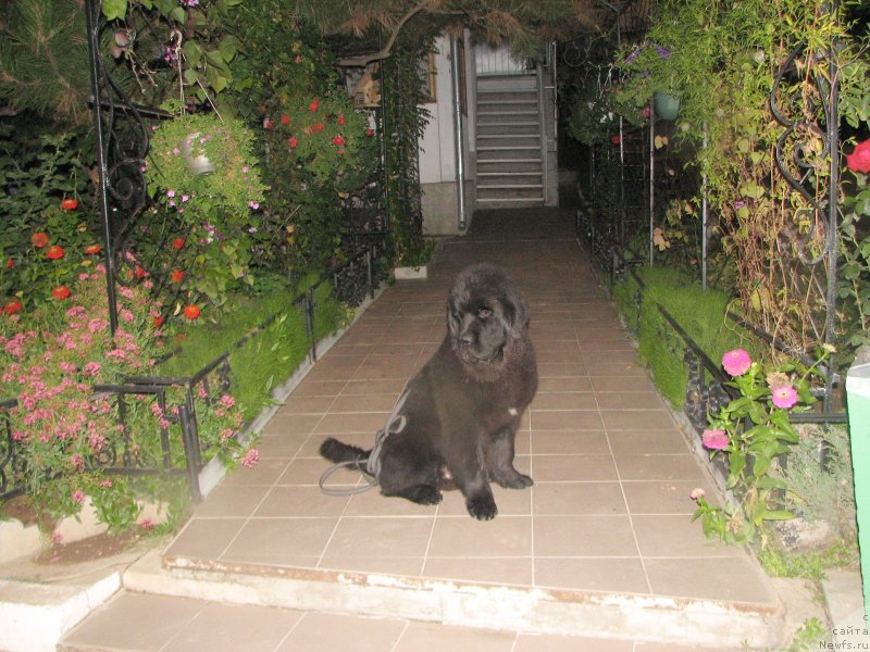 Фотография № 137003