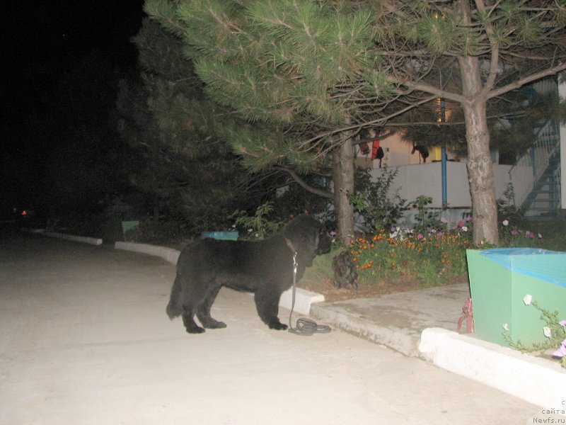 Фотография № 137004