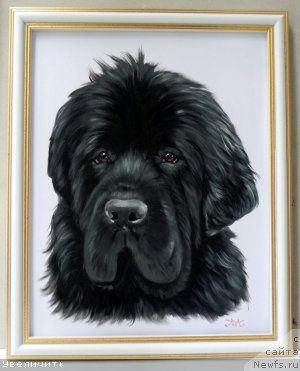 Фотография № 137047