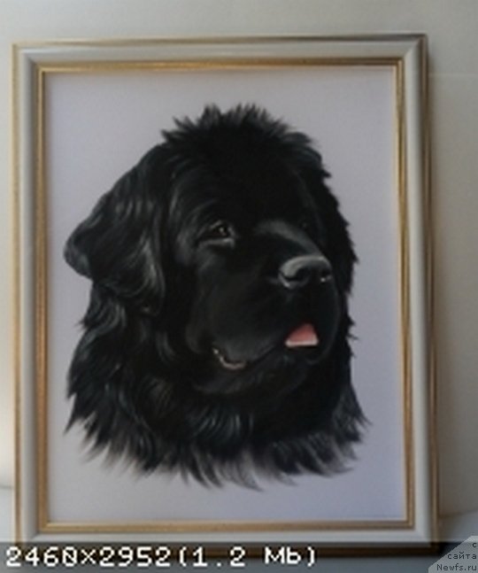 Фотография № 137049