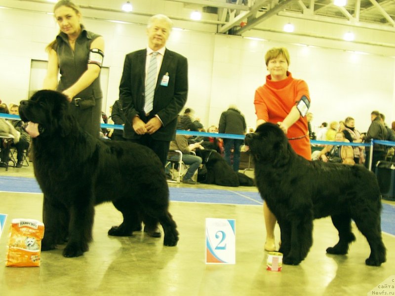 Фотография № 137142