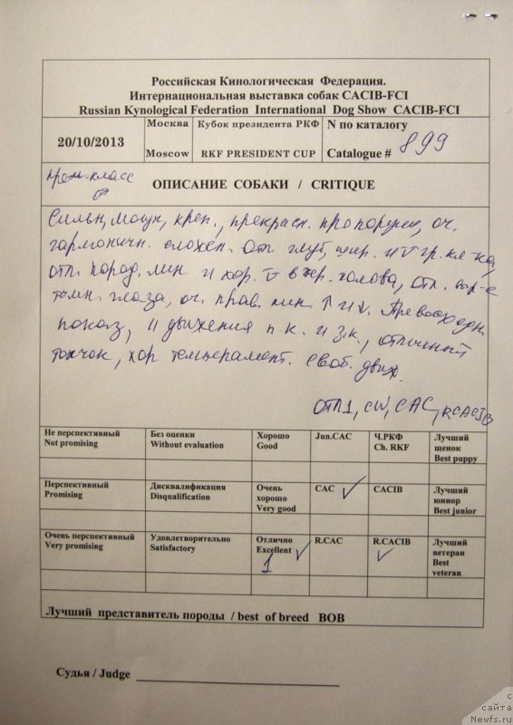 Фотография № 137146