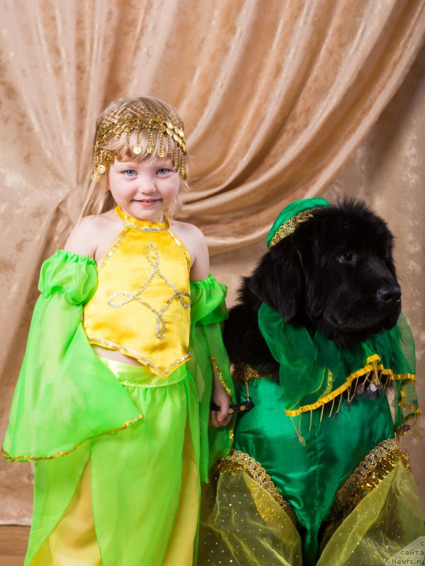 Фотография № 137176