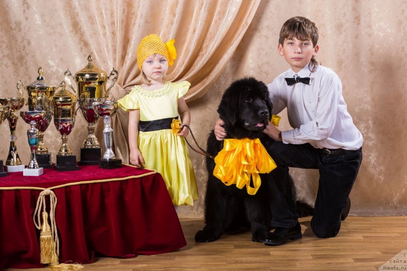 Фотография № 137178