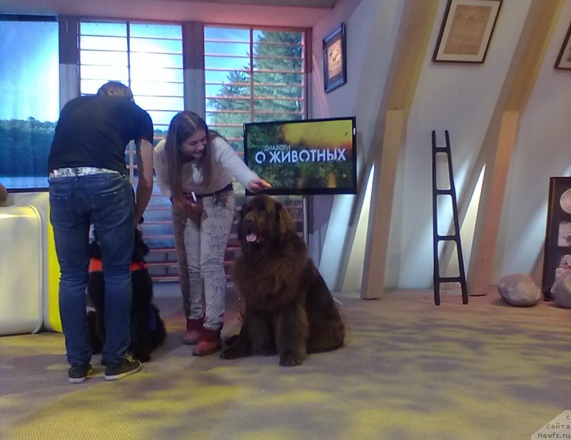 Фотография № 137225