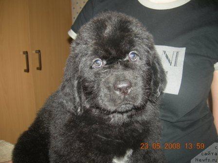 Фото: Габи Клеопатра Альфа