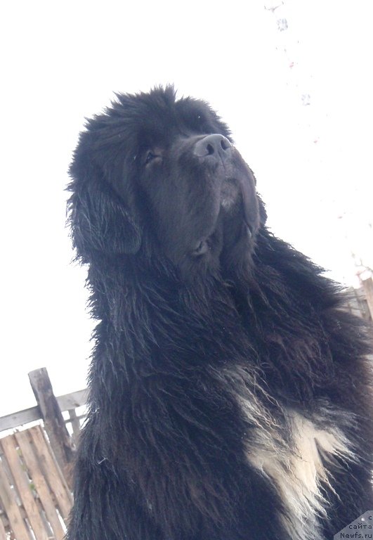 Фотография № 137277