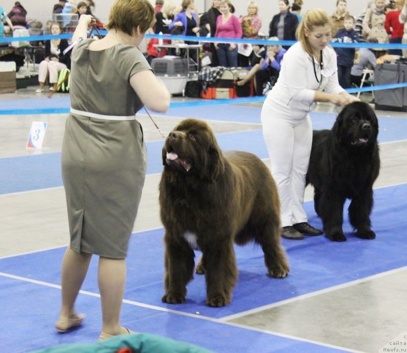 Фотография № 137281