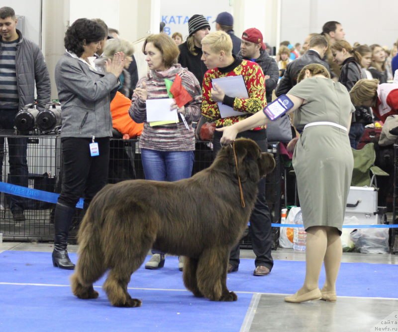 Фотография № 137282