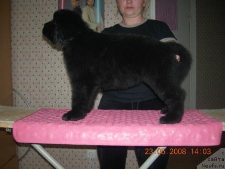 Фото: Габи Клеопатра Альфа