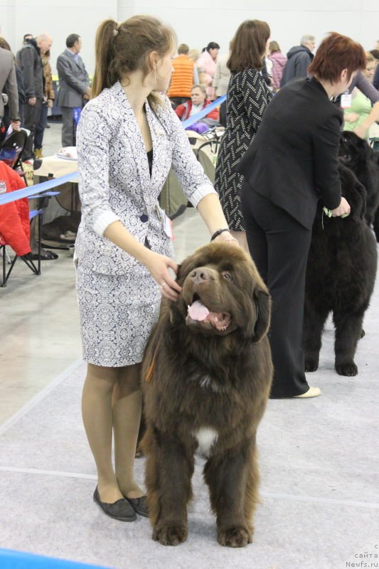 Фотография № 137290