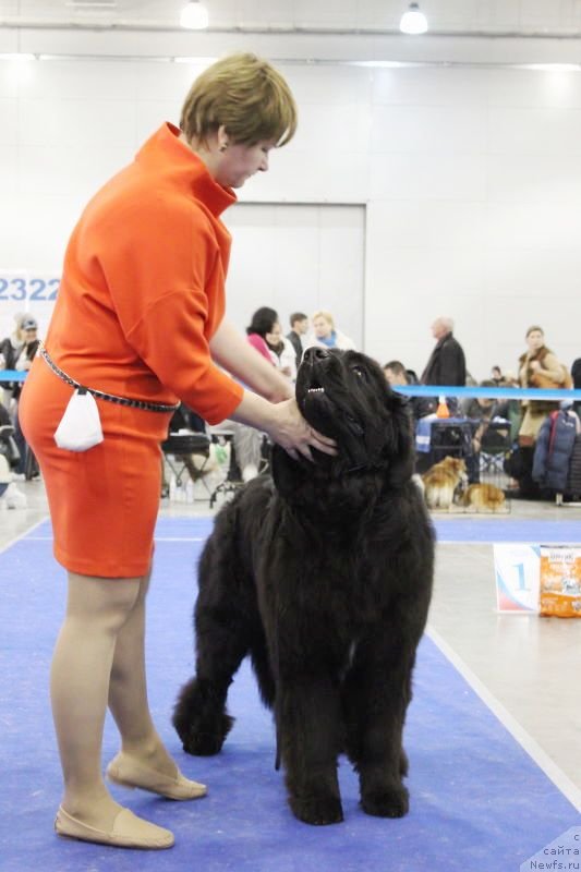 Фотография № 137292