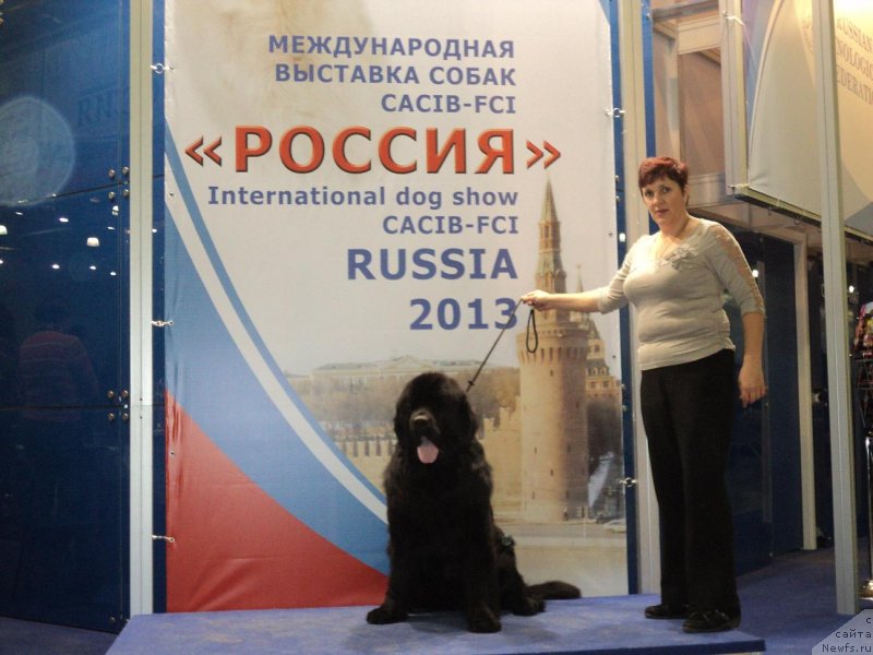 Фото: ньюфаундленд Акватория Келвин Тэн Страйк (Aquatoriya Kelvin Ten Strike), ньюфаундленд Акватория Келвин Тэн Страйк (Aquatoriya Kelvin Ten Strike)