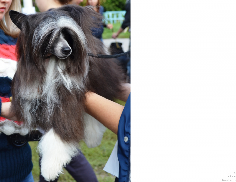 Фотография № 137299