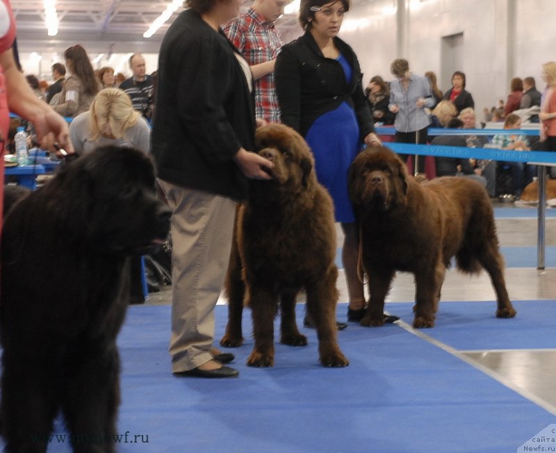 Фотография № 137323