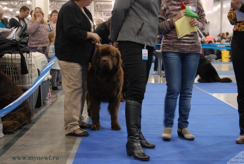 Фотография № 137328