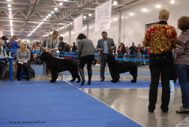 Фотография № 137333